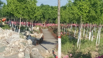 280310