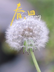 943C68F3-70EF-46EE-9FC0-43DD87A086E9/L0/001