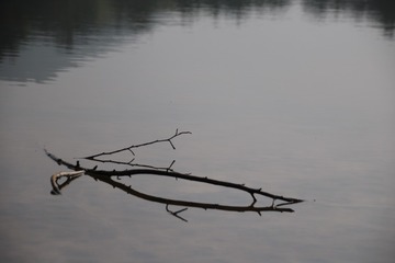 134