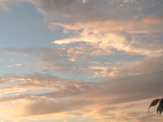 1509476