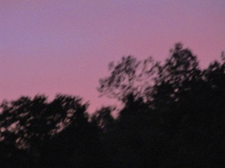 2F2D7165-9614-4C13-8828-7F462825956D/L0/001