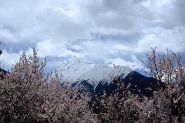 富士山？.JPG