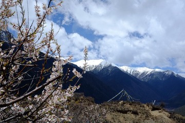 山、花与经幡.JPG
