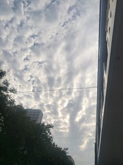 2335623
