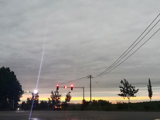 2329976