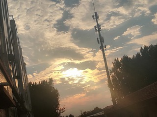 2330033