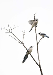 413FE37D-4B1A-4F26-B04E-F71E5884CDAA/L0/001