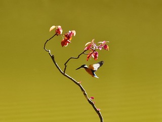B60B0996-B168-457C-A705-4B08A42DE495/L0/001