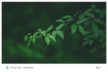 1000250382