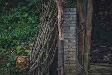 1000245361