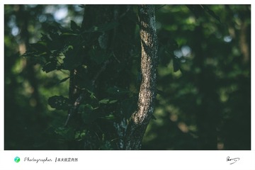 1000254277