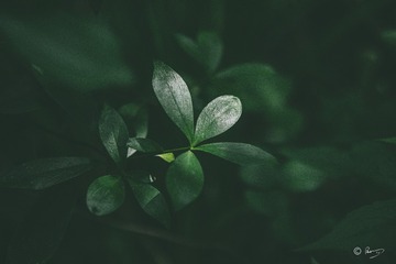 1000247671