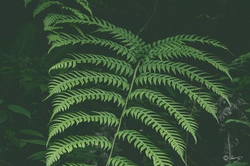 1000247673