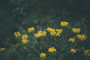1000244871