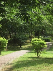 B507C923-E5B8-4EF3-9D66-167A08D622A3/L0/001