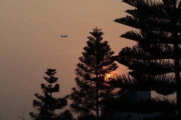 DSC_4893.JPG