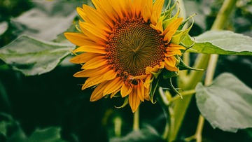 C87EE6C2-D965-44B6-A048-55CCD2AC3ED8/L0/001