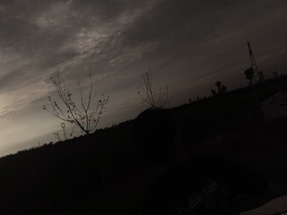 1294574