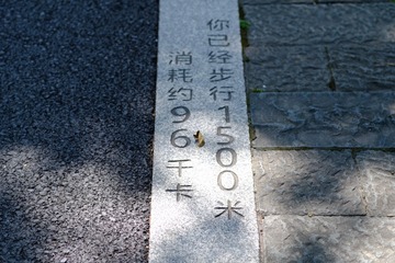 105775