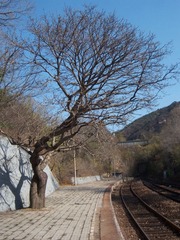 青龙桥站