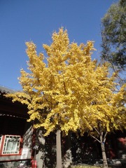 DSC01858.JPG