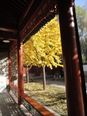 DSC01862.JPG