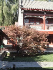 DSC01863.JPG