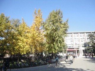 DSC01866.JPG