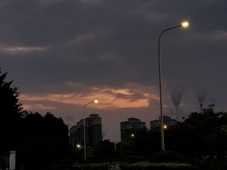 74463