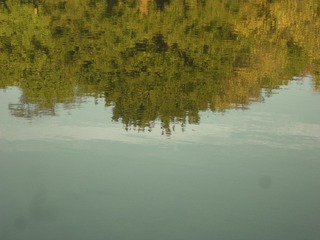 7C9A93C2-1507-4D94-83CF-5ED6DF41D618/L0/001