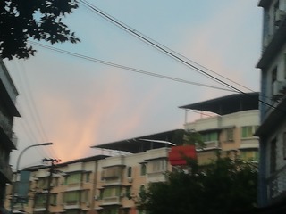 2527067