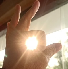 1000063404