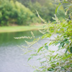 CB84C239-46EE-4A87-A0C5-AA0AF2FF754B/L0/001
