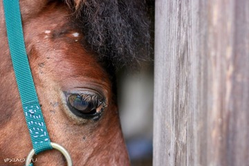 20110528-IMG_0313