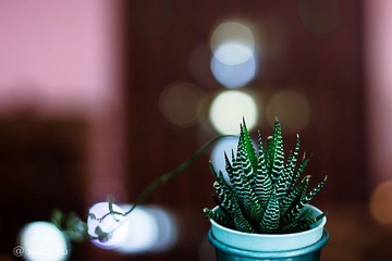 IMG0402
