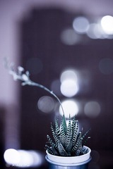IMG0403