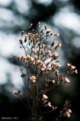 20110528-IMG_0325