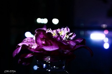 20120324-IMG_0003.jpg