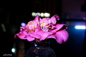 20120324-IMG_0005.jpg