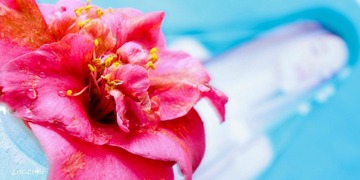 20120324-IMG_0003_1.jpg