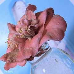 20120324-IMG_0010.jpg