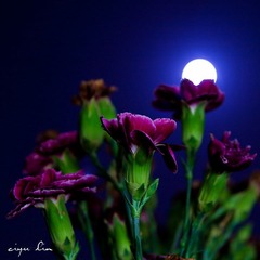 20120504-IMG_8693.jpg