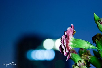 20120505-IMG_8705.jpg