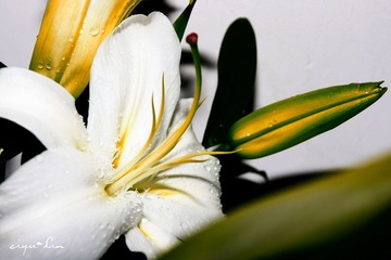 20120604-IMG_9008.jpg