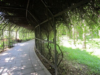 IMG_0883.JPG