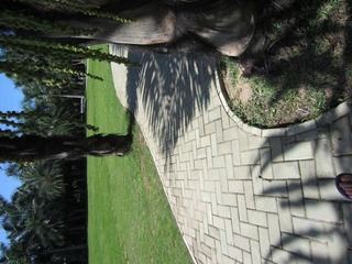 IMG_0887.JPG
