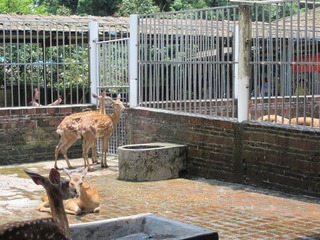 IMG_4009.JPG