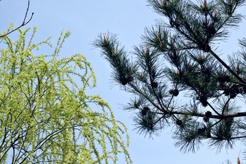 C1A6324E-F4D2-444F-A2DE-7AB98EB47E0E/L0/001