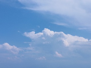 1000711692