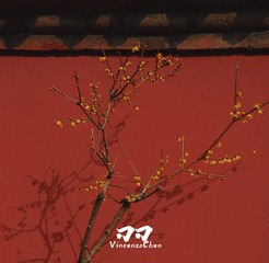 01A81878-E508-4B1E-9093-35214B59DE29/L0/001